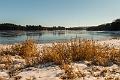 2017_01_21 (0032)